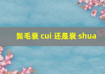 鬓毛衰 cui 还是衰 shua